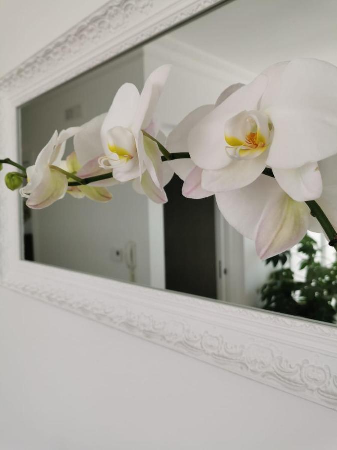B&B Le Torri Santeramo in Colle Zewnętrze zdjęcie