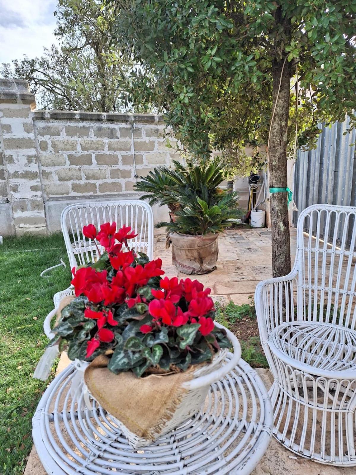 B&B Le Torri Santeramo in Colle Zewnętrze zdjęcie
